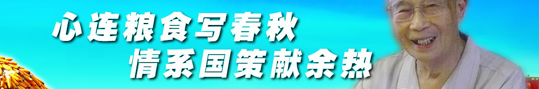 天地圣苑、思忆集