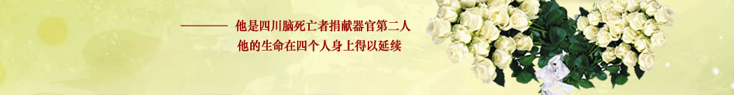 天地圣苑、思忆集