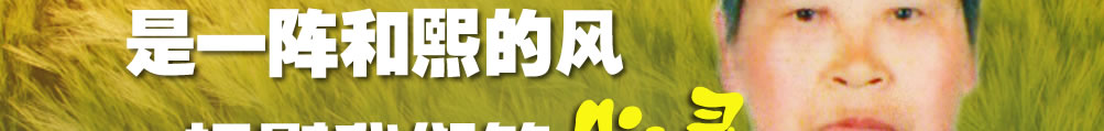 天地圣苑、思忆集