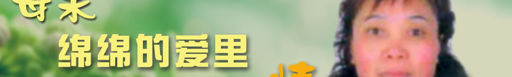 天地圣苑、思忆集
