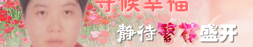 天地圣苑、思忆集