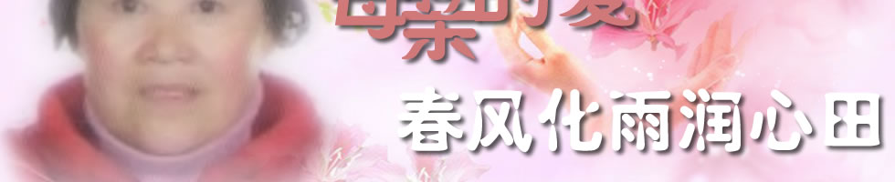 天地圣苑、思忆集