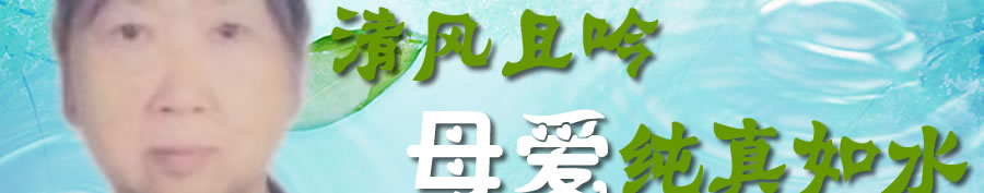 天地圣苑、思忆集