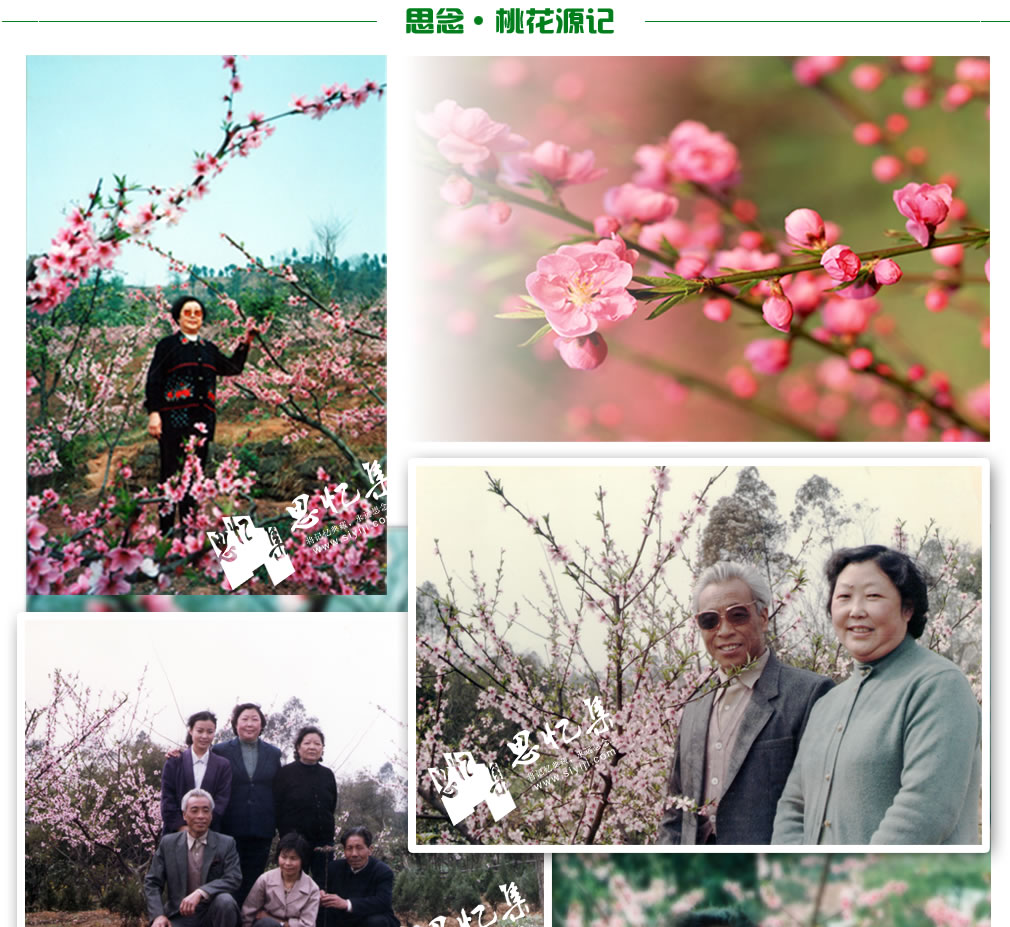 照片墙