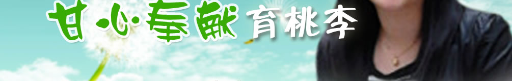 天地圣苑、思忆集
