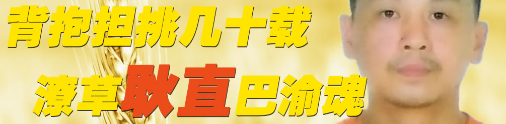 天地圣苑、思忆集