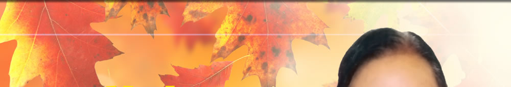 天地圣苑、思忆集