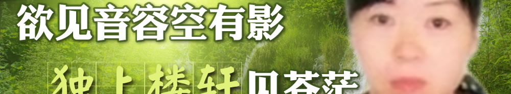 天地圣苑、思忆集