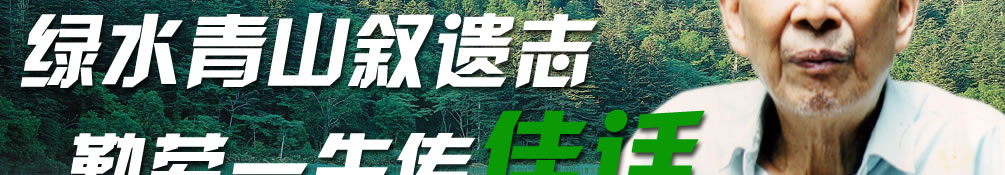 天地圣苑、思忆集
