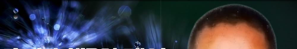 天地圣苑、思忆集