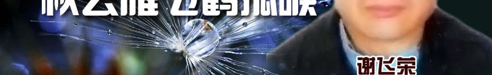 天地圣苑、思忆集