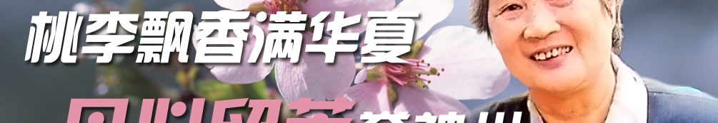 天地圣苑、思忆集