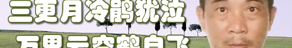 天地圣苑、思忆集