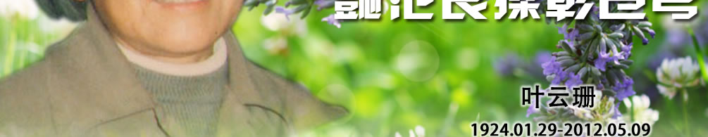 天地圣苑、思忆集