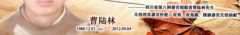 天地圣苑、思忆集