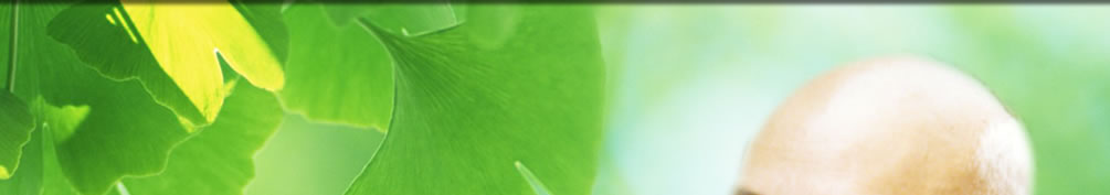 天地圣苑、思忆集