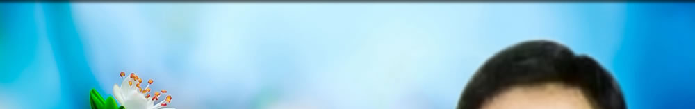 天地圣苑、思忆集