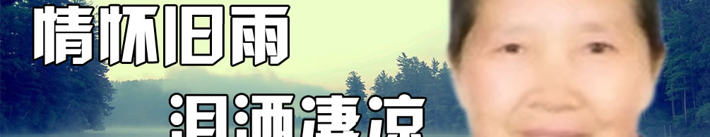 天地圣苑、思忆集