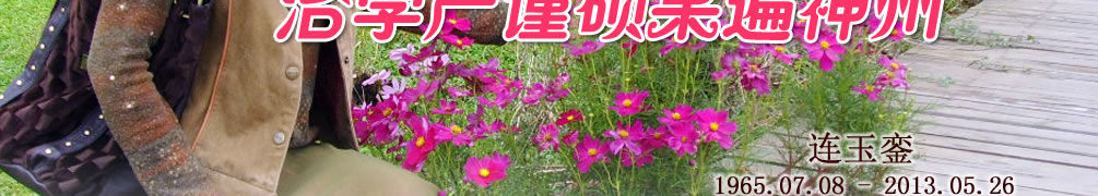 天地圣苑、思忆集