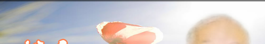 天地圣苑、思忆集