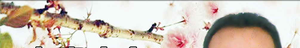 天地圣苑、思忆集