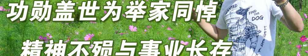 天地圣苑、思忆集