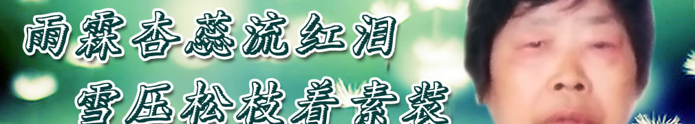天地圣苑、思忆集