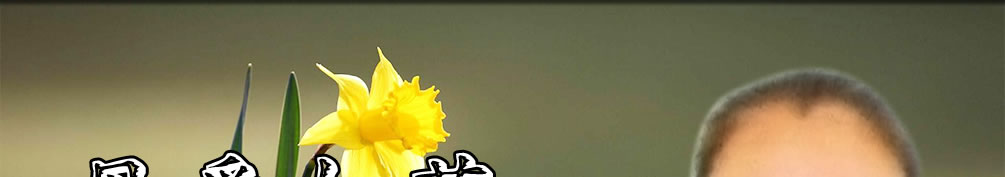 天地圣苑、思忆集