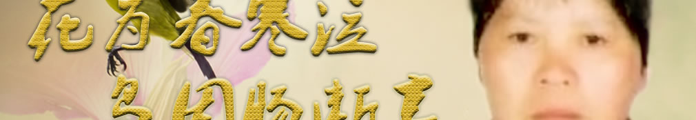 天地圣苑、思忆集