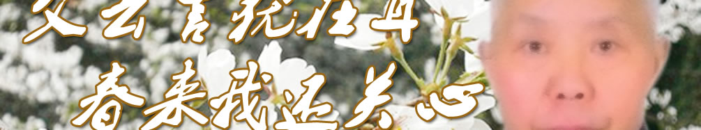 天地圣苑、思忆集
