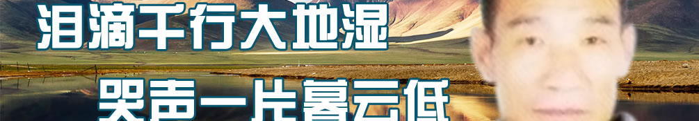 天地圣苑、思忆集