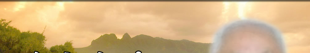 天地圣苑、思忆集