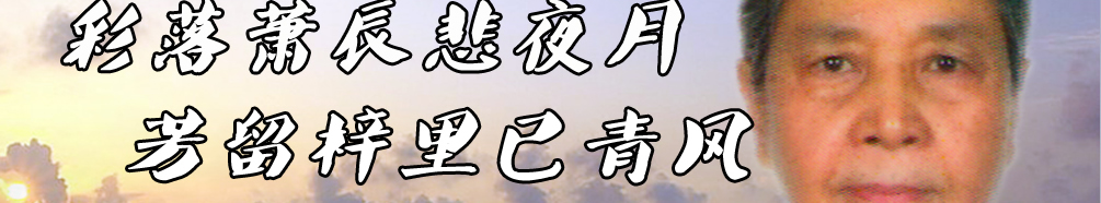 天地圣苑、思忆集