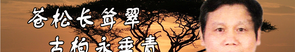 天地圣苑、思忆集