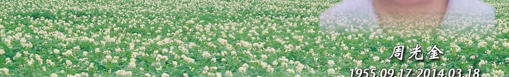 天地圣苑、思忆集