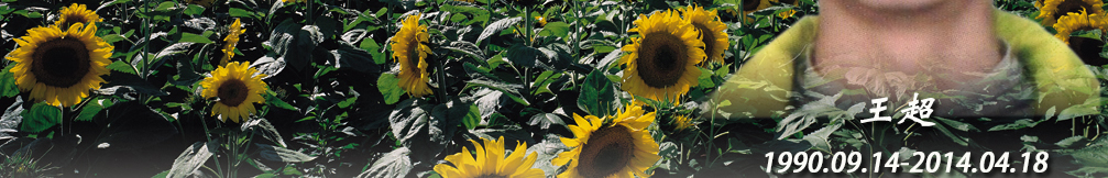 天地圣苑、思忆集