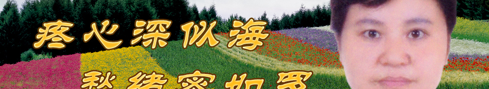 天地圣苑、思忆集