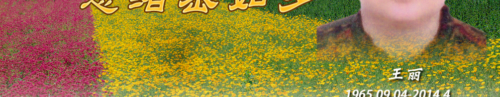 天地圣苑、思忆集