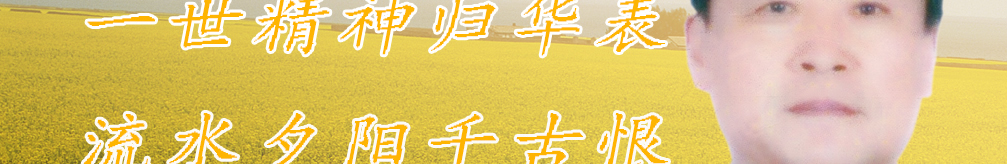 天地圣苑、思忆集