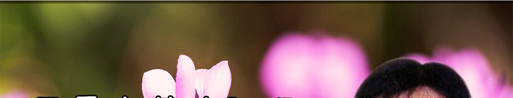 天地圣苑、思忆集