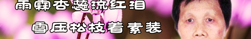 天地圣苑、思忆集