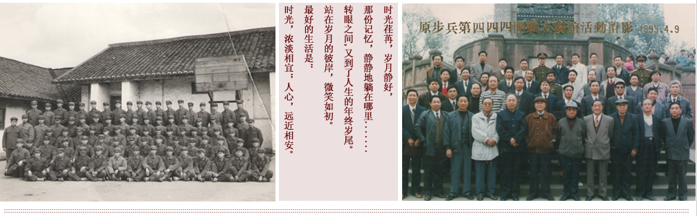 照片墙