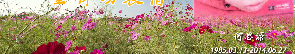天地圣苑、思忆集