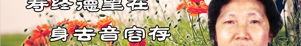 天地圣苑、思忆集