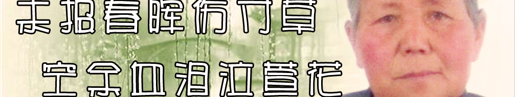 天地圣苑、思忆集