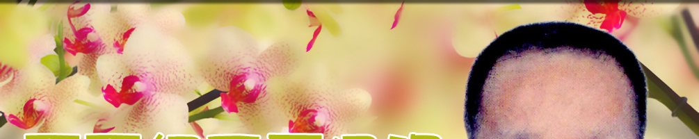 天地圣苑、思忆集