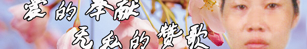 天地圣苑、思忆集