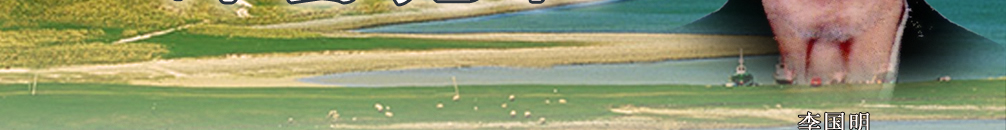 天地圣苑、思忆集