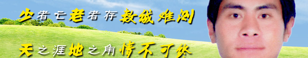 天地圣苑、思忆集