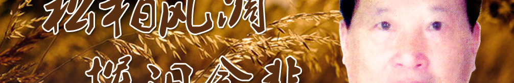 天地圣苑、思忆集